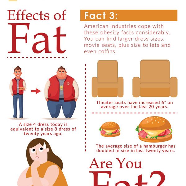 Facts About Obesity In the United States - Best Infographics