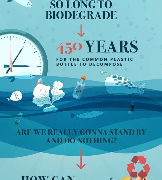 Effects of Bottled Water On the Environment - Best Infographics