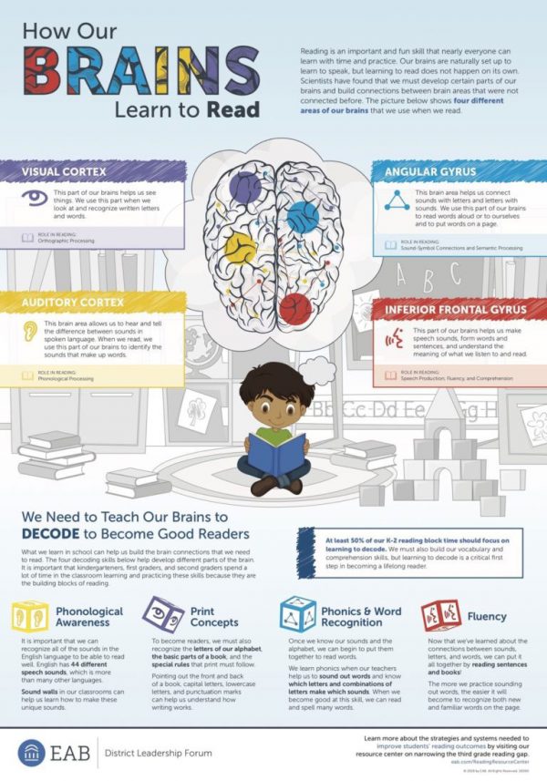 How Our Brains Learn To Read [Infographic] | LaptrinhX