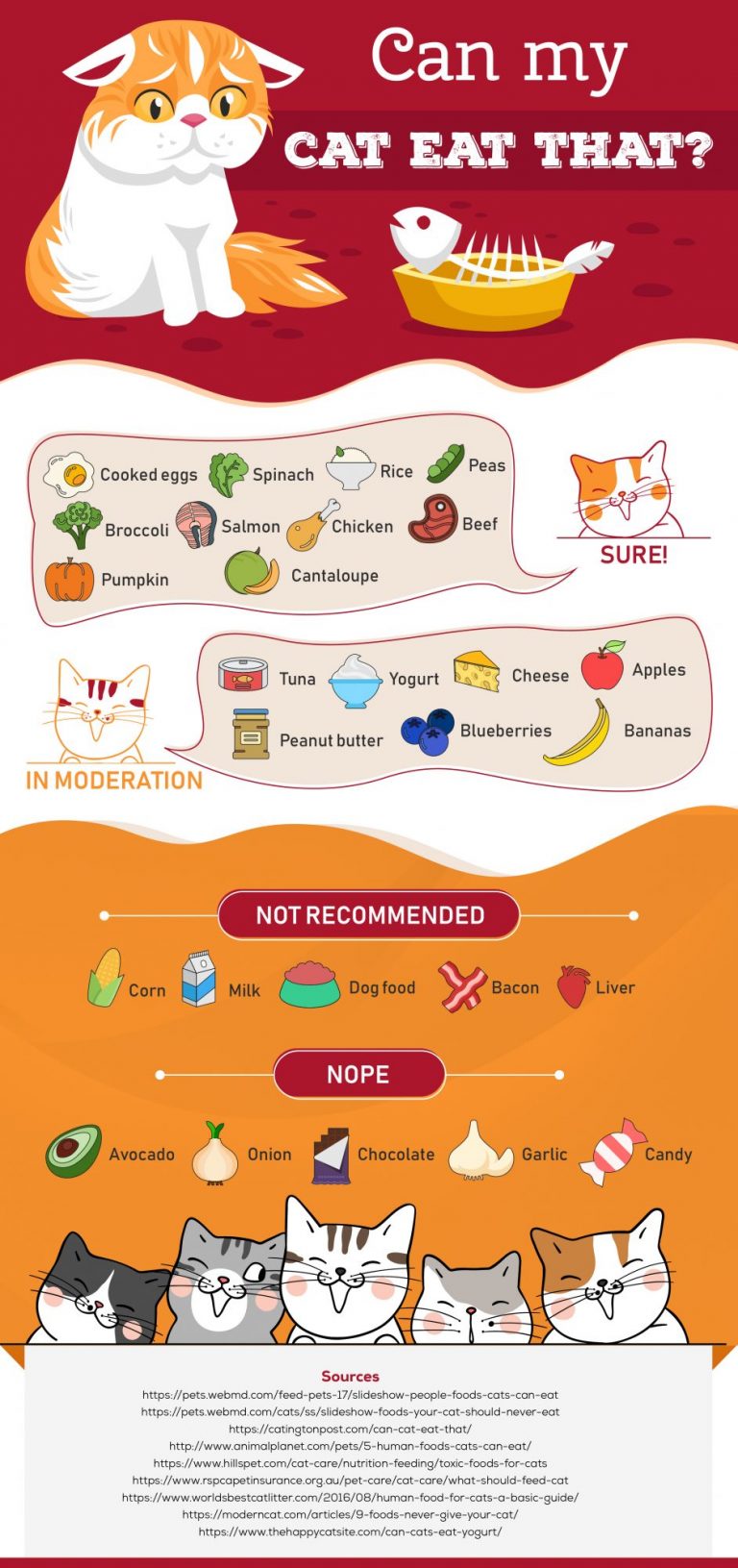 27 Human Foods Your Cat Can & Can't Eat - Best Infographics