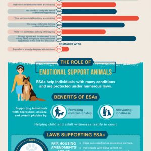 50 Amazing Animal Facts [Infographic] - Best Infographics