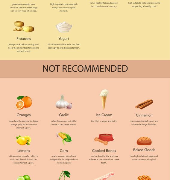 what foods dogs cant eat