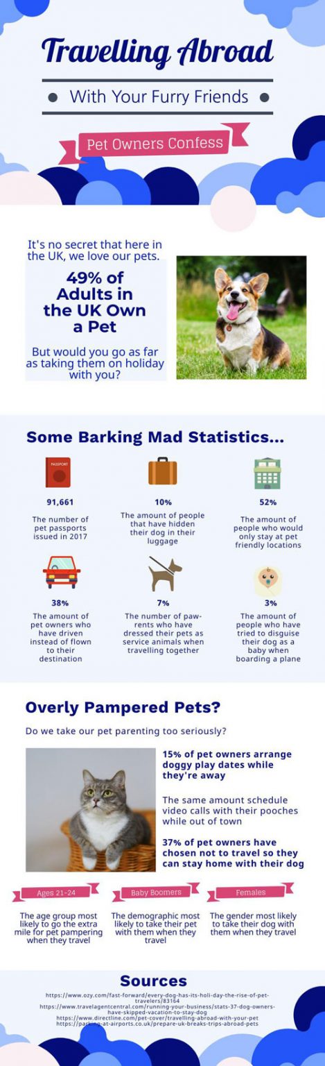 Traveling Abroad with Your Pets - Best Infographics