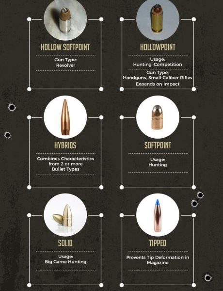 How to Choose a Bullet [Infographic] - Best Infographics