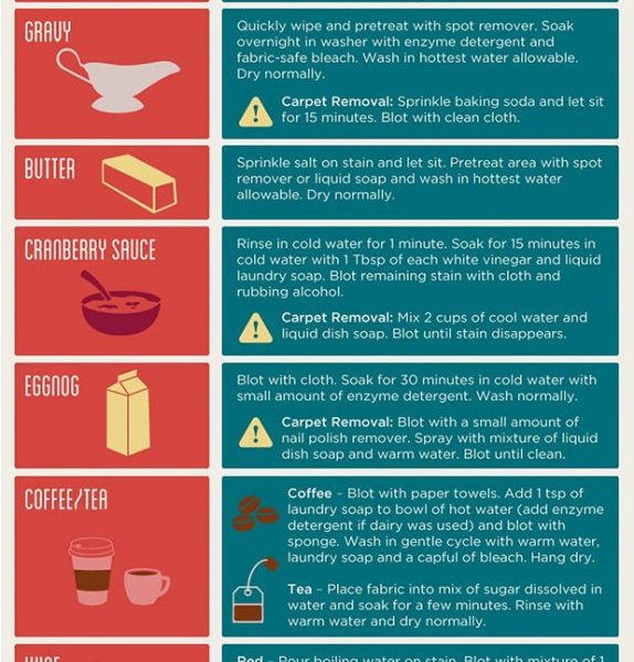 Holiday Stain Removal Guide [Infographic] - Best Infographics