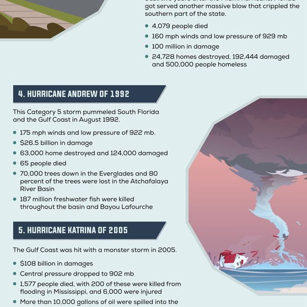 How to Build a Hurricane Resistant Home [Infographic] - Best Infographics