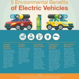 How Much Does an Electric Guitar Cost? - Best Infographics