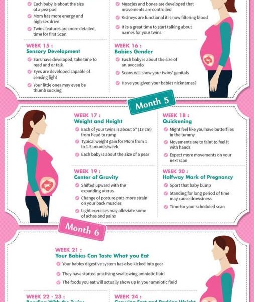 Week by Week Guide to Twin Pregnancy - Best Infographics