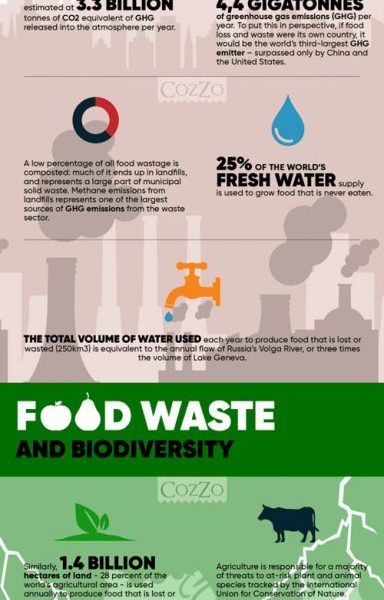 Food Waste & World Population Hunger [Infographic] - Best Infographics