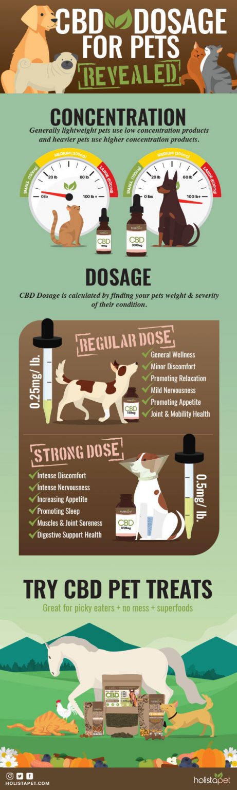 CBD Dosage Chart For Dogs & Cats [Infographic] - Best Infographics