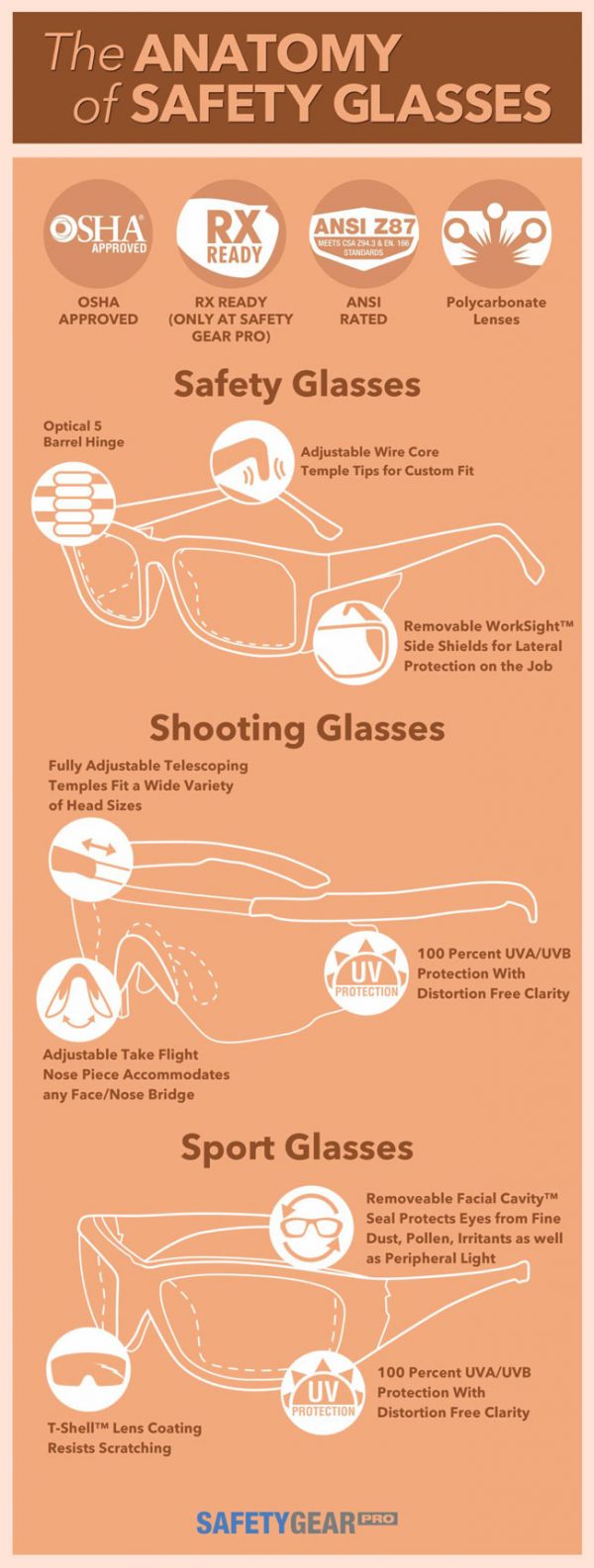 The Anatomy of Safety Glasses [Infographic] - Best Infographics