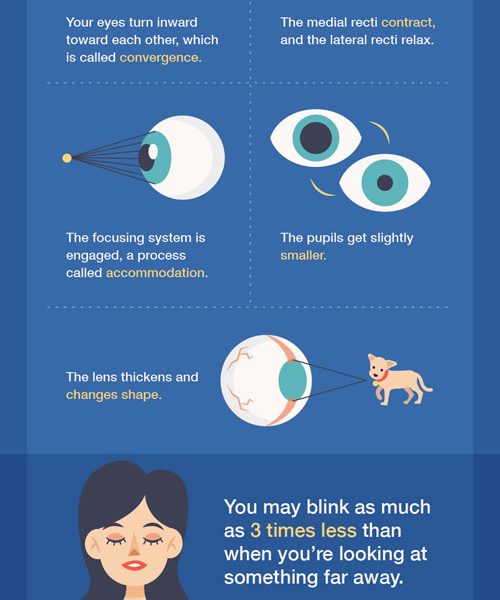 How to Prevent Eye Strain At Work [Infographic] - Best Infographics