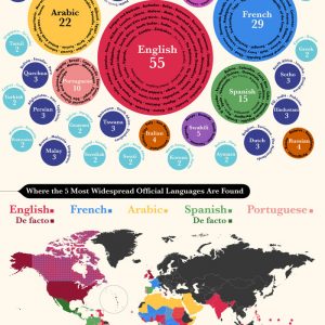 Why You Should Learn a New Language {Infographic} - Best Infographics