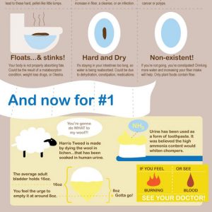 What The Color of Your Urine Says About You {Infographic} - Best ...