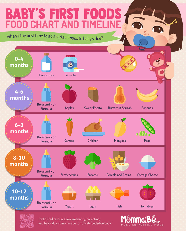 Baby Food Charts Timeline Infographic Best Infographics