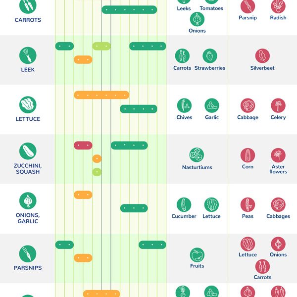 Planting Calendar Infographic Best Infographics