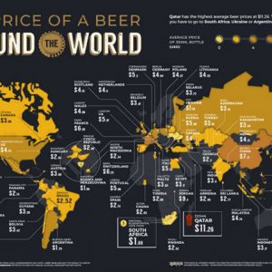 Beer Lover’s Guide to Ale & Lager [Infographic] - Best Infographics