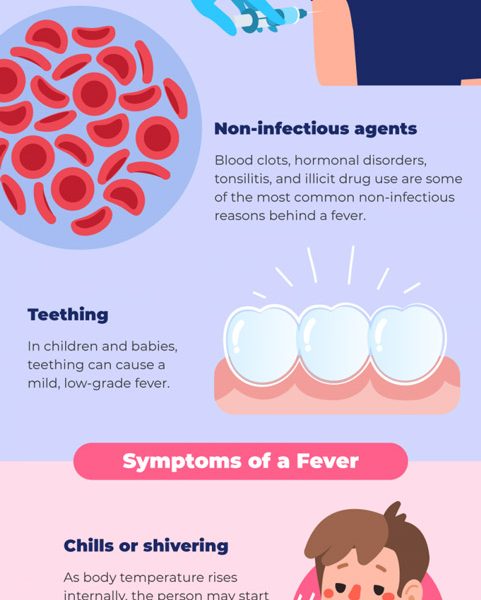 Fever Causes & Treatment [Infographic] - Best Infographics