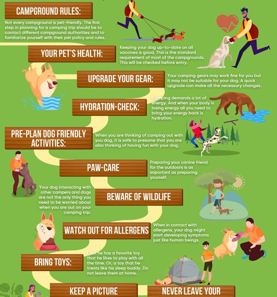 Camping with Dogs [Infographic] - Best Infographics