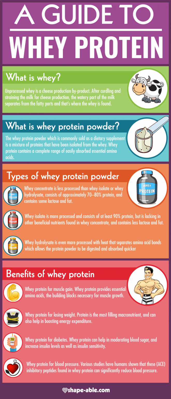 a-guide-to-whey-protein-infographic-best-infographics