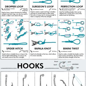 How To Hook A Minnow [Infographic] - Best Infographics