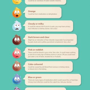 What The Color of Your Urine Says About You {Infographic} - Best ...