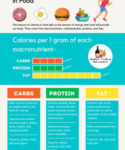 A Guide to Calories [Infographic] - Best Infographics