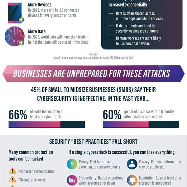 Cyberinsurance & Why It Matters [Infographic] - Best Infographics