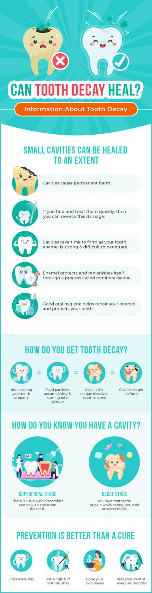 Can Tooth Decay Heal? [Infographic] - Best Infographics