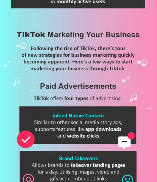 Everything You Need to Know About TikTok as a Business [Infographic ...