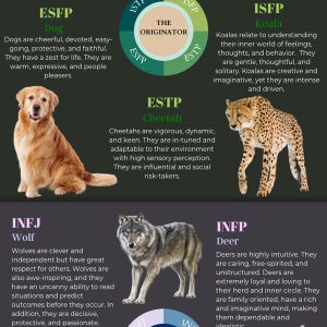 Myers-Briggs: What's Your Type? {Infographic} - Best Infographics