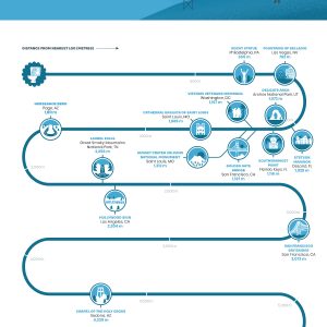 42 Biggest Travel Don’ts Around The World [Infographic] - Best Infographics