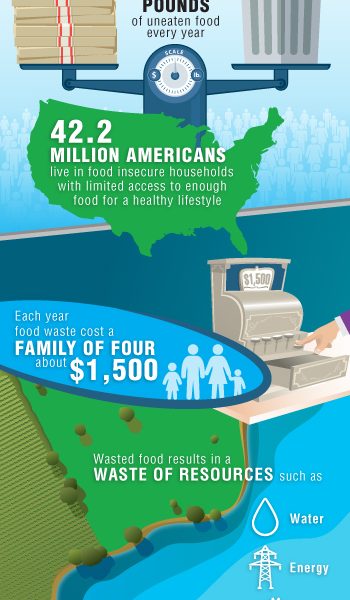 Food Waste Facts Infographic Best Infographics   Food Waste Facts 350x600 