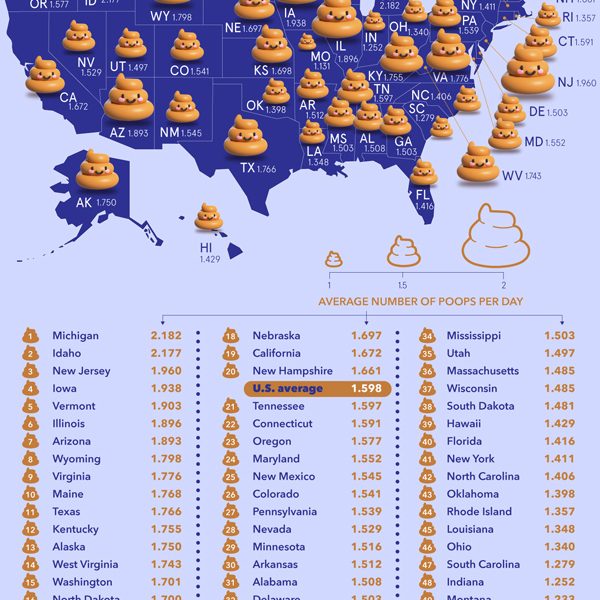 Which State Poops the Most? [Infographic] - Best Infographics